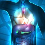 FGFR2突变胆管癌患者福音：Lirafugratinib获FDA新药申请，二线治疗带来生存新突破！