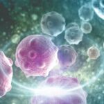 SRN-101：FDA批准复发高级别胶质瘤创新免疫基因疗法IND申请，带来新希望