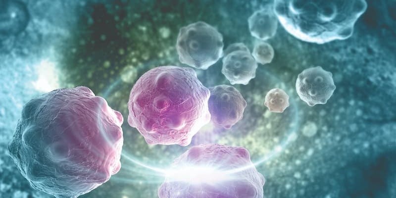 SRN-101：FDA批准复发高级别胶质瘤创新免疫基因疗法IND申请，带来新希望