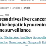 情绪真的会致癌？《Nature》子刊揭秘：长期压力如何“毒害”你的肝脏并加速肝癌进展