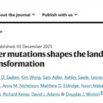 结直肠癌（CRC）的“命运”：APC和KRAS突变顺序如何决定肿瘤发展路径？