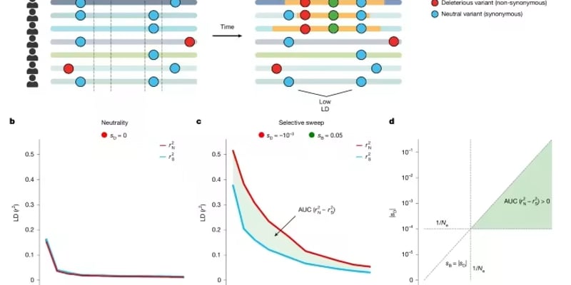 《自然》杂志1月重磅发现深度解析：癌症、肠道菌群、衰老与疼痛治疗的最新突破