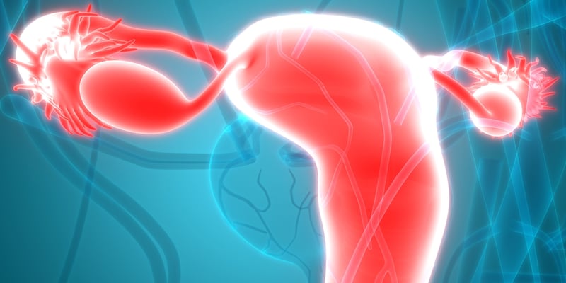 复发性卵巢癌治疗新突破：BI-1808联合帕博利珠单抗，免疫疗法再添希望？