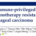 食管鳞癌免疫治疗耐药有新解！揭秘“免疫豁免生态位”与未来治疗新策略