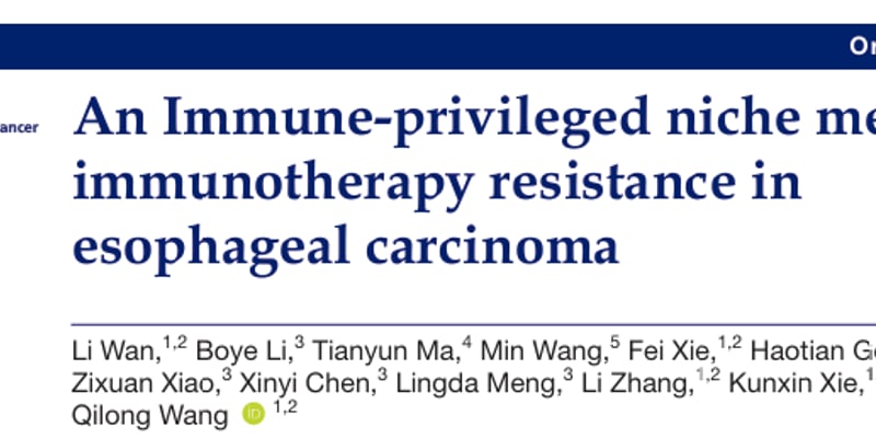 食管鳞癌免疫治疗耐药有新解！揭秘“免疫豁免生态位”与未来治疗新策略