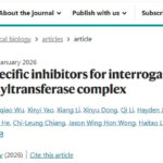 肺癌治疗新突破：精准“拆弹”ATAC复合物，LS-170有望为患者带来新希望