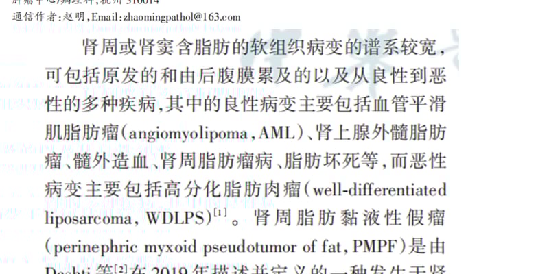 肾周脂肪黏液性假瘤（PMPF）是什么？MDM2/CDK4/DDIT3基因检测如何避免误诊为脂肪肉瘤？