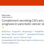 胰腺癌治疗新希望：揭秘“好”的CAF细胞，改善患者预后！