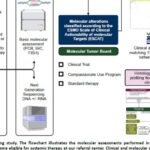 甲状腺癌靶向治疗新希望：基因检测如何精准匹配药物，提升生存率？
