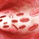 Pirtobrutinib (Jaypirca) 加拿大获批！复发难治MCL/CLL/SLL患者的最新治疗选择，疗效、副作用与获取全解析