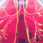 EGFR突变晚期肺癌新突破：奥希替尼联合化疗显著延长总生存期，患者如何选择？