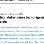 肝细胞癌CTNNB1突变型治疗新思路：WNT与mTOR通路机制深度解析与未来靶点