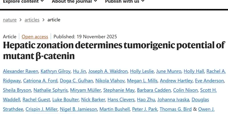 肝细胞癌CTNNB1突变型治疗新思路：WNT与mTOR通路机制深度解析与未来靶点
