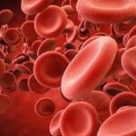 慢性肾脏病（CKD）贫血治疗新突破：2024 KDIGO指南深度解读与用药选择