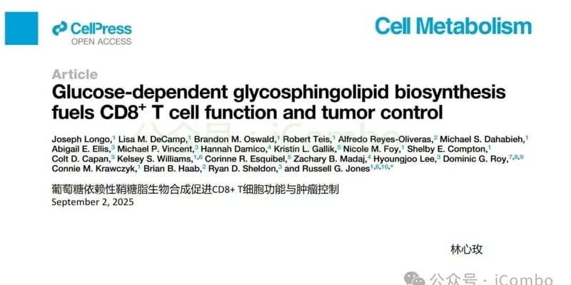 癌症免疫治疗新突破：葡萄糖如何“喂饱”T细胞，增强抗肿瘤能力？