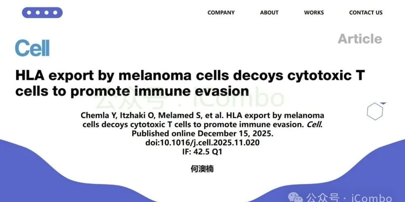 《Cell》重磅揭秘：黑色素瘤免疫逃逸“新阴谋”与未来治疗新希望
