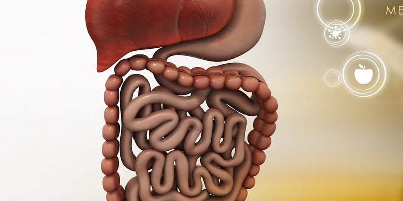FDA重磅受理：Bezuclastinib联合舒尼替尼，为伊马替尼耐药胃肠道间质瘤患者带来新希望！