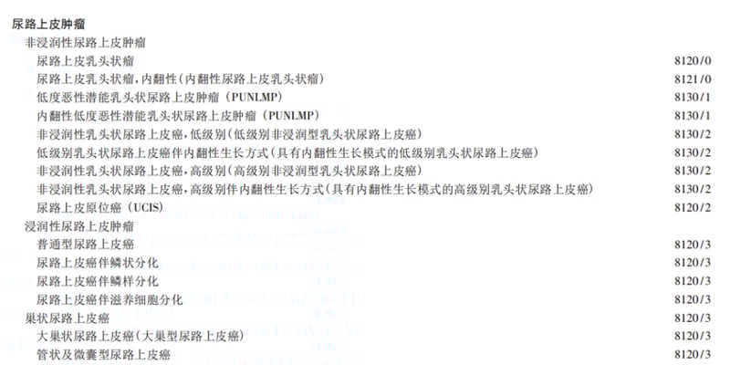 透明细胞尿路上皮癌（CCUC）诊断与治疗新进展：FGFR3突变带来靶向希望