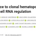 Science重磅：揭秘“天选之人”！这种罕见基因变异能天然抵抗白血病，风险降低30%