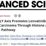 仑伐替尼治疗肝癌耐药怎么办？新研究揭示DNMT2-ACLY轴，联合用药突破瓶颈