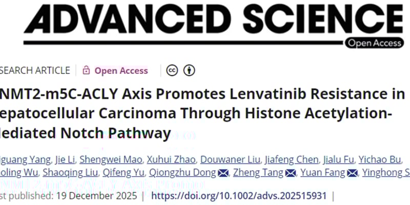 仑伐替尼治疗肝癌耐药怎么办？新研究揭示DNMT2-ACLY轴，联合用药突破瓶颈