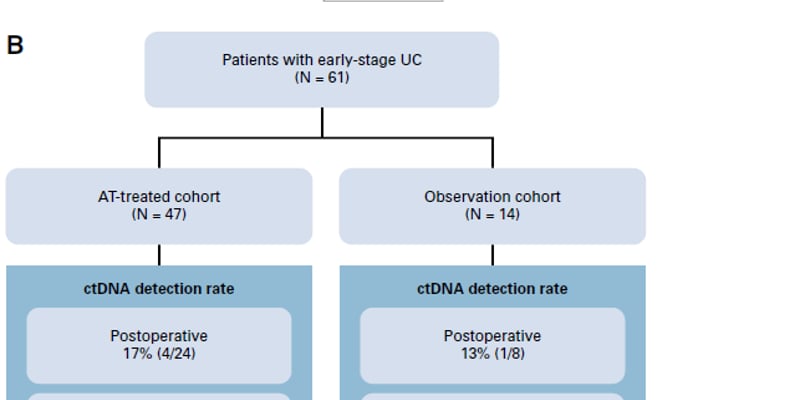 早期子宫内膜癌复发监测新突破：ctDNA阳性预警价值优于TP53，深度解析最大真实世界研究