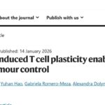 肠道细菌竟是抗癌“特种兵”？《Nature》重磅：分段丝状细菌如何让PD-1免疫治疗效果翻倍？