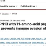 结直肠癌免疫疗法新突破：揭秘免疫逃逸机制，PD-1治疗效果有望提升！