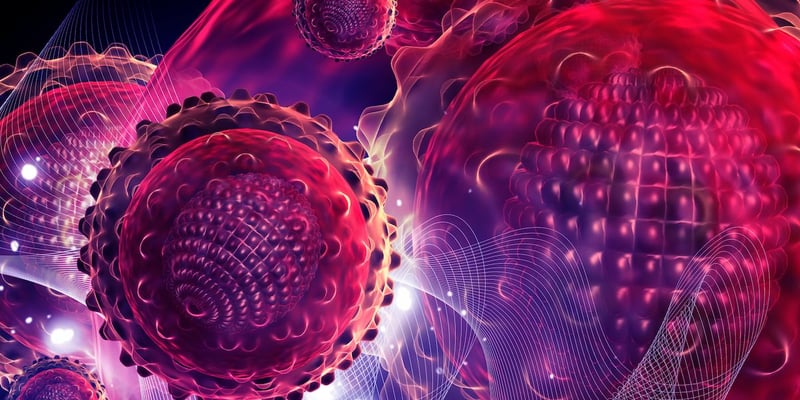 CLL/SLL一线治疗新突破：泽布替尼单药对比阿可替尼+维奈克拉，疗效与安全性深度解析