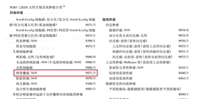 直肠腺癌遇上卵黄囊瘤：KRAS G12S突变患者的罕见挑战与精准诊疗策略