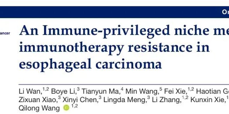食管鳞癌免疫治疗耐药怎么办？最新研究揭示“免疫豁免生态位”，为患者带来新希望！