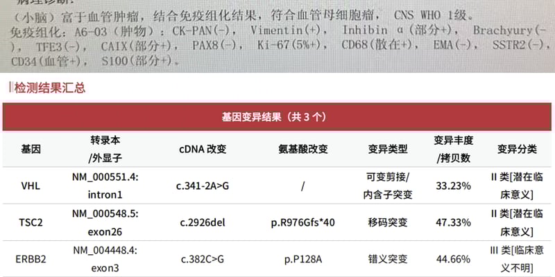 血管母细胞瘤 VHL/TSC2 变异解析：贝组替凡靶向治疗疗效、机制与海外购买渠道