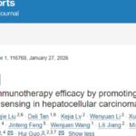 肝癌免疫治疗新突破：p57如何逆转耐药，提升疗效？