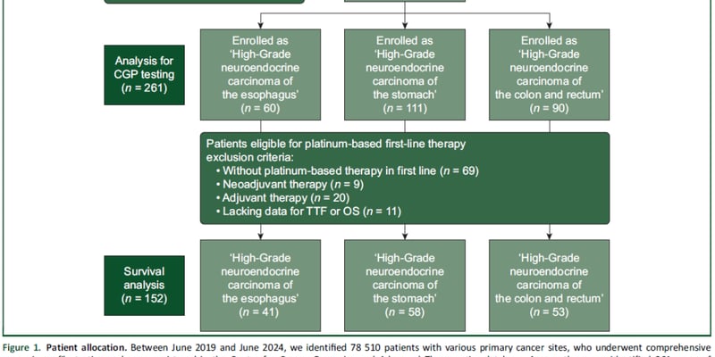 胃肠道神经内分泌癌（GI-NEC）最新研究：KRAS/MYC变异如何影响预后与化疗耐药？