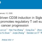 非小细胞肺癌免疫治疗新进展：STING激动剂为何效果不佳？最新研究揭示关键机制与潜在突破