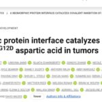 KRASG12D突变癌症新希望：zoldonrasib如何打破“不可成药”魔咒？
