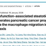 警惕！脂肪肝如何加速胰腺癌肝转移？最新研究揭示MIF-CD44新靶点