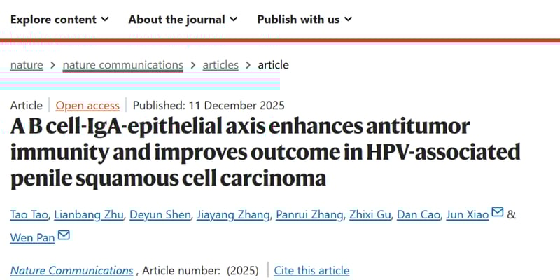 阴茎鳞状细胞癌（PSCC）：为什么HPV阳性患者预后更好？最新研究揭示免疫机制与潜在靶点