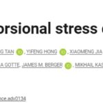 《Science》揭示癌症根源谜题：核小体如何调控基因表达，影响肿瘤发生与治疗新方向