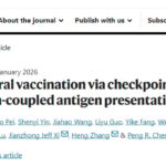 冷肿瘤不再“冷”！Nature新突破iVAC，如何让癌细胞“自曝身份”，重启免疫抗癌战？