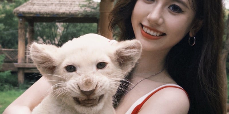 网红一栗小莎子疑患淋巴瘤：早期信号、治疗新进展与康复希望