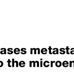 别忽视！最新研究揭示：长期慢性压力、C型性格如何助推癌症转移？专家教你如何应对！