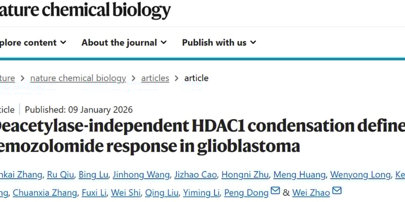 胶质母细胞瘤替莫唑胺耐药有新招！瑞米诺他靶向HDAC1，打破耐药僵局