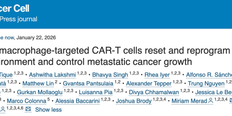 实体瘤治疗新突破：靶向巨噬细胞的CAR-T疗法，如何让“冷肿瘤”变“热”？