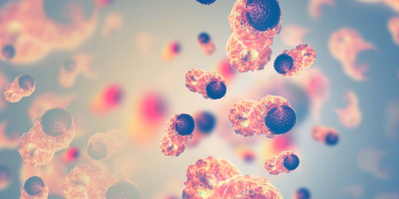 IBI3003三特异性抗体：复发难治多发性骨髓瘤的“快速通道”新药，疗效与副作用深度解析