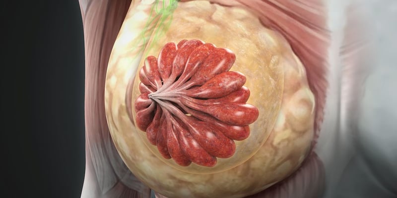 HR+/HER2+乳腺癌辅助治疗新标准：芳香化酶抑制剂对比他莫昔芬，10年疗效数据深度解读