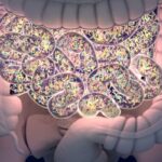 BRAF V600E结直肠癌新突破：康奈非尼联合疗法获FDA批准，液体活检精准指导