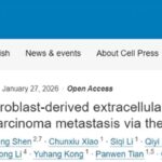 肺腺癌转移机制获重大突破！四川大学发现关键蛋白ATP6V1C1，或为晚期肺癌治疗带来新希望