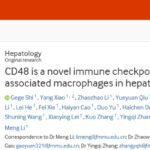 肝癌免疫治疗新突破：揭秘CD48“别吃我”信号，有望克服耐药性！