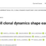肺鳞癌的“种子”：Science揭示致癌物如何诱导基底细胞变异，形成癌前病变！